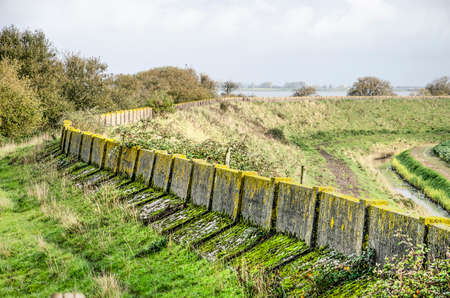 Grassy dike on the north coast of the island of Schouwen-Duiveland, The Netherlands with the...