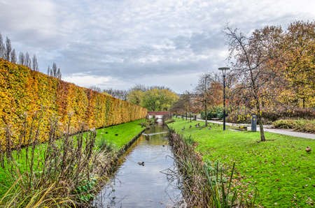 Rotterdam, The Netherlands, November 23, 2019: autumn scene in Museumpark with a dramatic sky, a beech hedge, a footpath and a canal with ducksのeditorial素材
