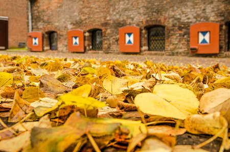 Zwolle, The Netherlands, November 9, 2019: ground covered with linden leaves near the old city wall with a medieva brickl facade with wooden shutters in the backgroundのeditorial素材