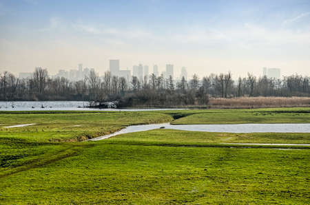 View of green meadows, ponds and trees in Ackerdijkse Plassen nature reserve with in a distance haze in the background the skyline of Rotterdamの写真素材