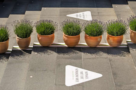 Rotterdam, The Netherlands, May 17, 2020: pots with lavender and arrows on a staircase to guide pedestrian flows in Koopgoot shopping street, as a covid-19 measureのeditorial素材