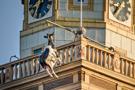 Kampen, The Netherlands, July 30, 2020: plastic cow, traditionally suspended from the clock tower as a reference to a historical storyのeditorial素材