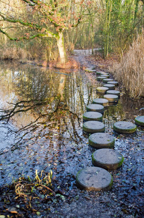 Leiden, The Netherlands, December 16, 2021: footpath with stepping stones leading through a pond in Merenwijk parkの写真素材