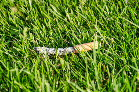 Cigarette butt with a long pillar of ash, cast away on the grass of a lawn