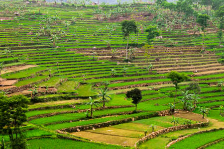 Pemandangan yang sudah jarang terlihatの写真素材