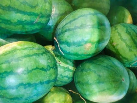 Fresh watermelon ready to pick at fruit shopの写真素材