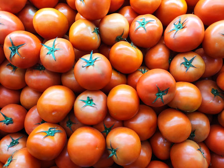 A bunch fresh tomato on display for backgroundの写真素材