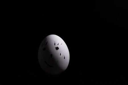 photography of white eggs on a black background, feeding group