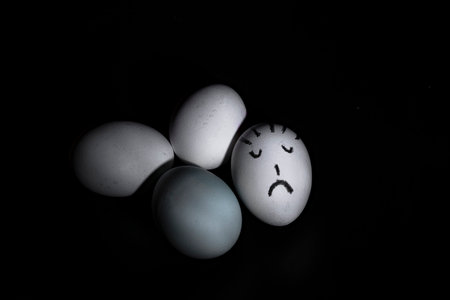 photography of white eggs on a black background, feeding group