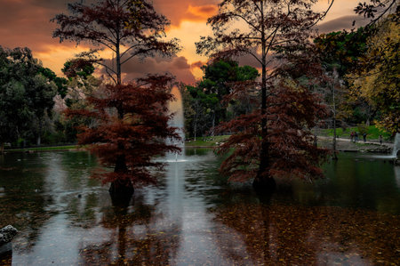 sunset with the background the crystal palace of the retiro park in the city of madrid landscape photographyのeditorial素材