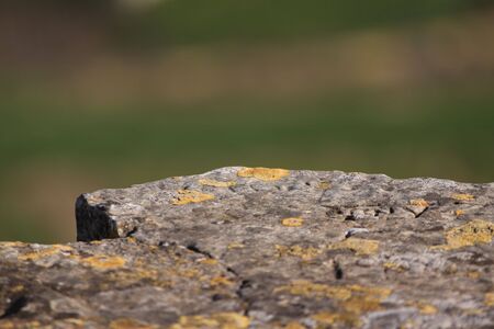 stoneの写真素材