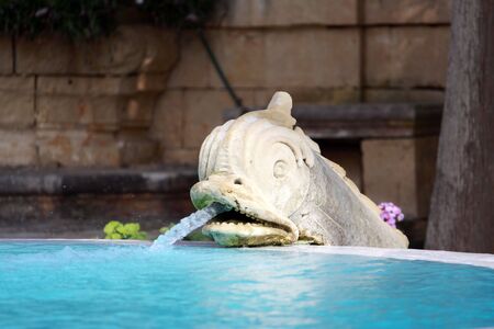 a water fountain in the shape of a dolphin carved from limestone used to pump water into a swimming pool with shallow depth of field and focus on the sculptureの写真素材