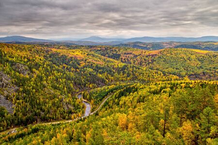 Yellow autumn forest with treetops, river and roadの写真素材