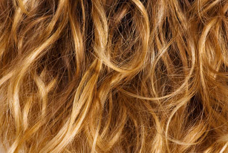 Blonde curly hair - background textureの写真素材