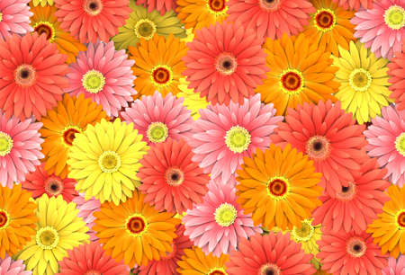 Endless floral pattern background - daisy flowerの写真素材
