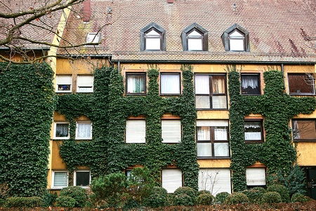 Traditional house in the German style in Bavaria. The architecture of houses in Germany. The house is covered with plants.の写真素材