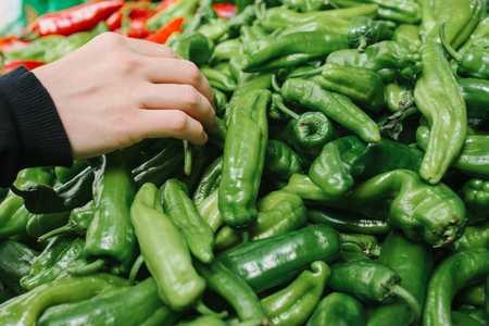 Fresh and organic vegetables at farmers market. Marketplace. Natural produce. Paprika. Pepperの写真素材