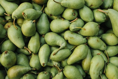 Fresh pears background. Natural local products on the farm market. Harvesting. Seasonal products. Food.の写真素材