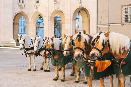 Horses with wagons in winter on the main square of Salzburg in Austria. Entertainment of tourists, riding. Vacation, attractions.の写真素材