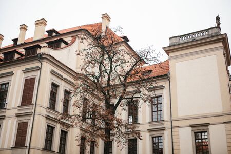 Traditional facade of buildings, exterior of buildings in Prague. Close-up of beautiful historic building. Next tree without leaves in late autumn.の写真素材