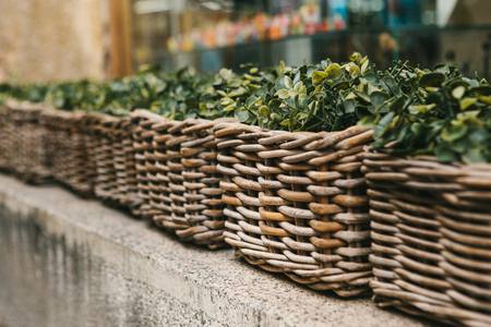 Street decor. Series of beautiful wicker baskets with outdoor plantsの写真素材