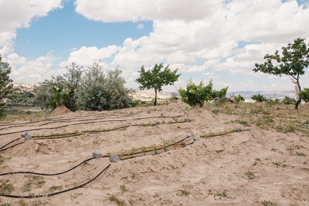Fruit trees and beds on white soil watered with special irrigation system.の写真素材