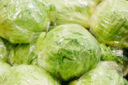 Fresh cabbage on the farmers market. Dietary and vegetarian product. Natural local products on the farm market.の写真素材