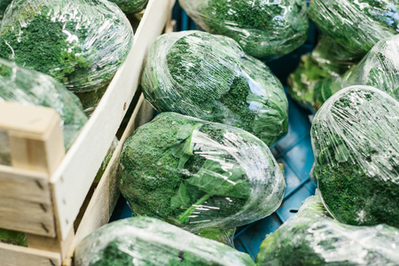 Fresh cabbage on the farmers market. Dietary and vegetarian product. Natural local products on the farm market.の写真素材