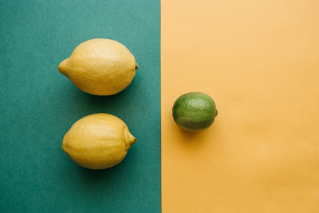Mix of lemons and lime on a colored backgroundの写真素材