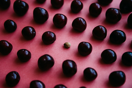 A lot of cherries and one ossicle between them on a pink backgroundの写真素材