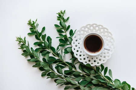 A cup of freshly flavored espresso or black tea next to the branches of the plant. Minimalistic design.の写真素材