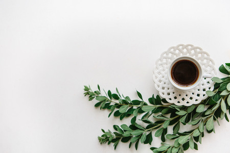 A cup of freshly flavored espresso or black tea next to the branches of the plant. Minimalistic design.の写真素材