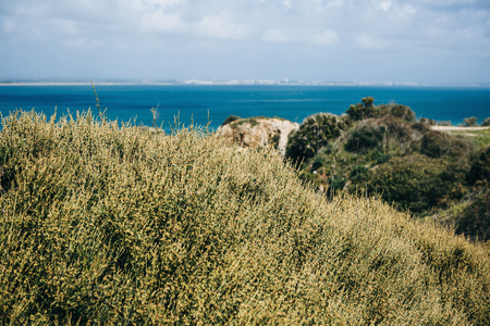 A landscape with vegetation and footpaths in Portugal near the city of Lagos. Atlantic Ocean in the background.の写真素材