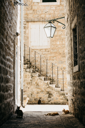 Staircase or entrance to a residential house. Cats on the street at the stairs rest. Lantern on the building. Architecture. Typical street in Montenegro.の写真素材