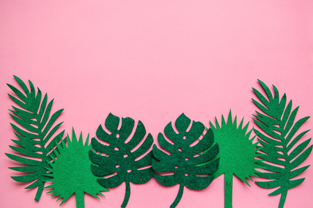 Tropical leaves in a row on a pink background. Summer minimalistic design. Above there is a place for text.の写真素材