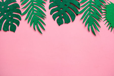 Tropical leaves in a row on a pink background. Summer minimalistic design. Below is a place for text.の写真素材