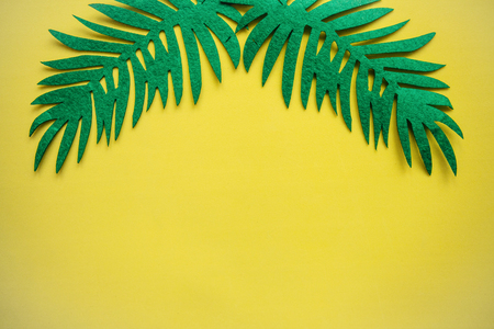 Fern leaves on a pink background in minimal style. In the middle there is a place for text.の写真素材