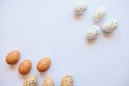 Set of eggs on a white background. Festive Easter background.の写真素材