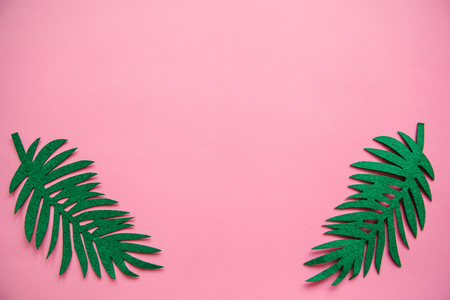 Fern leaves on a pink background in minimal style. In the middle there is a place for text.の写真素材