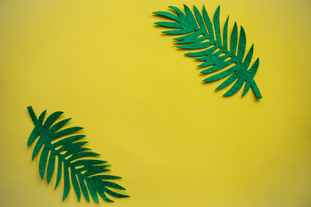 Fern leaves on a pink background in minimal style. In the middle there is a place for text.の写真素材