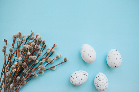 A willow branch with buds and eggs on a blue background in minimal style. Easter celebration and the beginning of spring concept.の写真素材