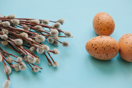 A willow branch with buds and eggs on a blue background. Easter celebration and the beginning of spring concept.の写真素材
