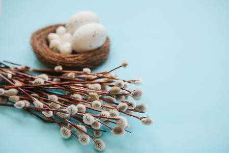 A willow branch with buds and eggs on a blue background. Easter celebration and the beginning of spring concept.の写真素材