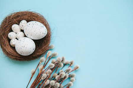 A willow branch with buds and eggs on a blue background. Easter celebration and the beginning of spring concept.の写真素材