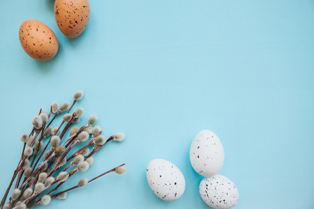 A willow branch with buds and eggs on a blue background in minimal style. Easter celebration and the beginning of spring concept.の写真素材
