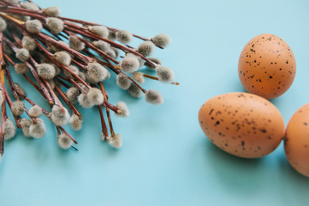 A willow branch with buds and eggs on a blue background in minimal style. Easter celebration and the beginning of spring concept.の写真素材
