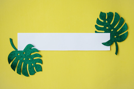 Felt leaves of Monstera on a yellow background. In the middle is a white sheet or space for text.の写真素材