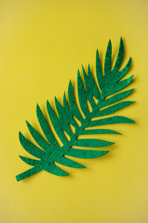 Felt tropical leaf Fern on a yellow background in minimal style. Summer design.の写真素材