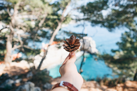 A girl holds in her hand a fir cone on the background of a natural landscape with dervishes and the sea. Eco-friendly concept.の写真素材