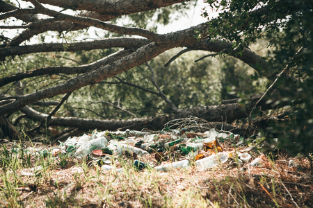 Pollution of the environment. Garbage pile in the forest. Waste or debris on the ground. Pollution of nature.の写真素材
